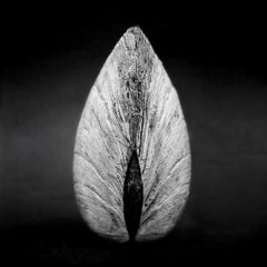 Clam 02 - Signed limited edition Contemporary art print, Black white square