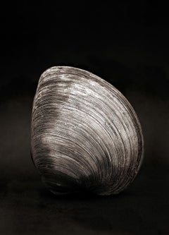 Clam - Signed limited edition fine art print,Black and white photography, Sepia