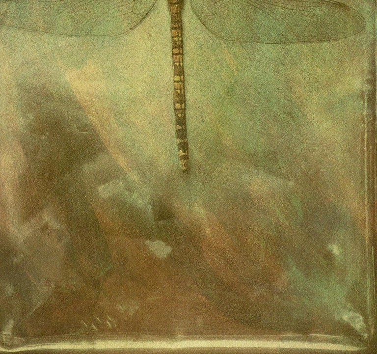  Dragonfly  - Signed limited edition archival pigment print  -   Edition of 8  
Photography  and Bichromate print : 2016
Pigment print : 2020

Several negatives was used to create a handmade print with a 19th. century technique involving light