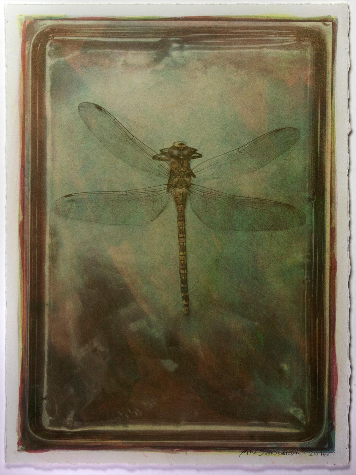 Dragonfly-Unique Gum Bichromate print(sensitised watercolour), Photographic print 1