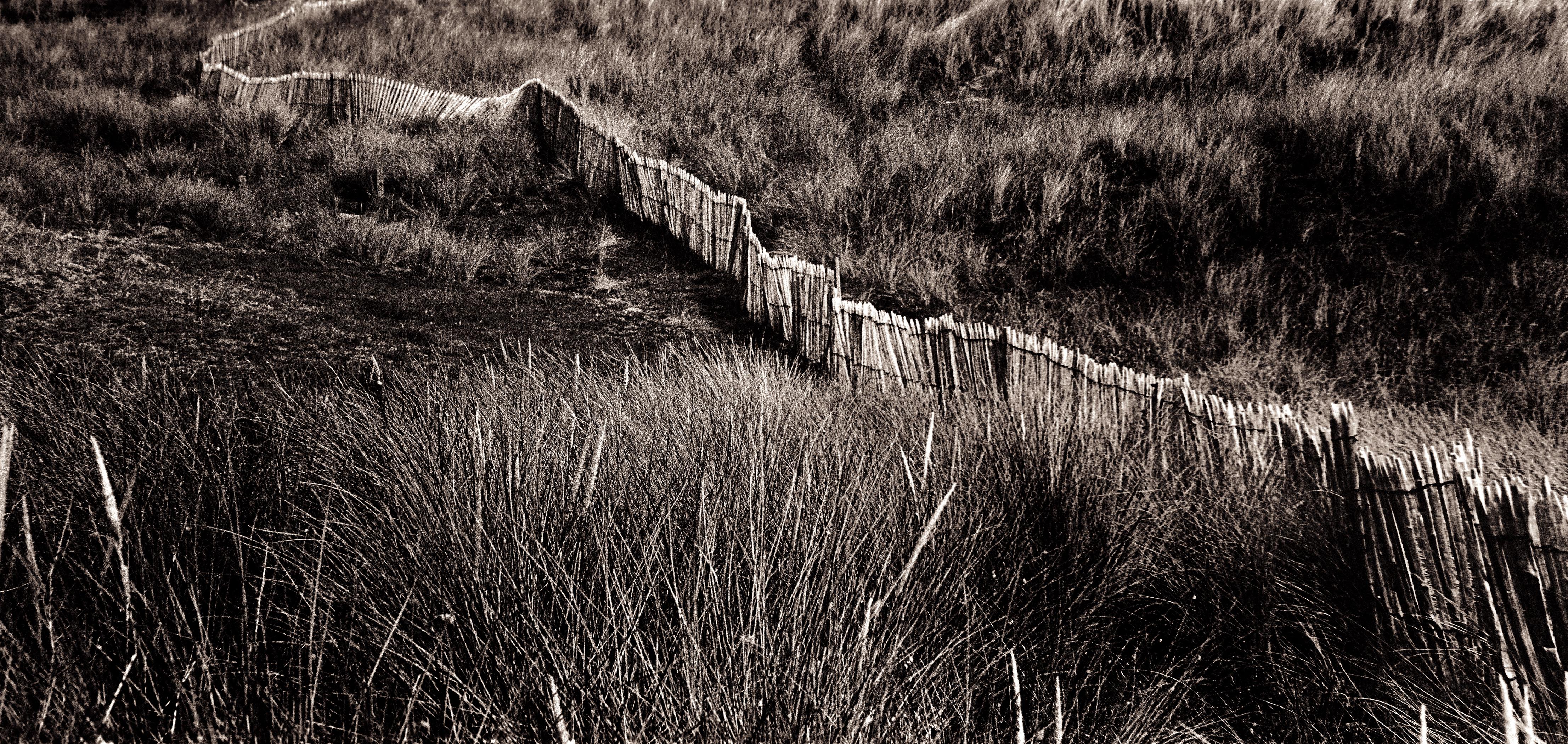 Dune- Signed limited contemporary print, Black white, Landscape, Contemporary