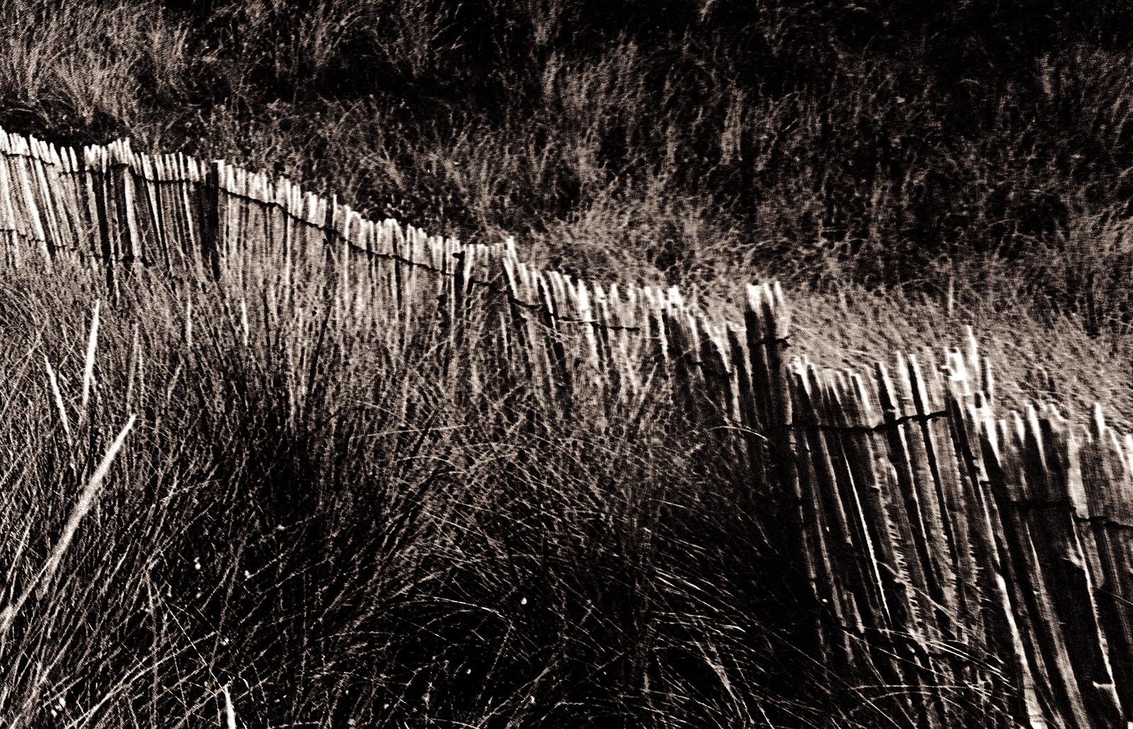 Dune - Signierter Kunstdruck in limitierter Auflage, schwarz weiß sepia, Landschaft braun – Photograph von Ian Sanderson