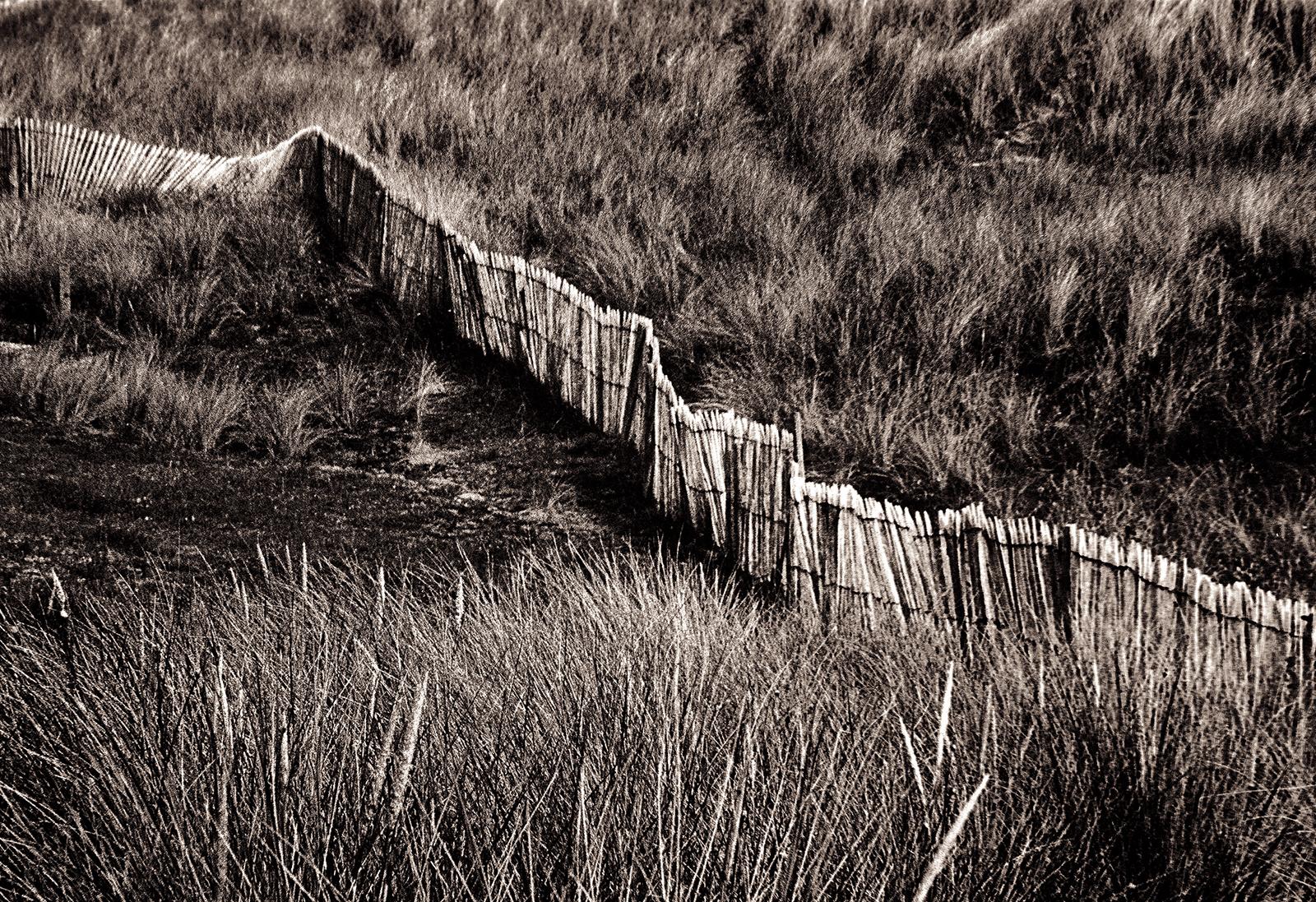 Dune - Signierter Kunstdruck in limitierter Auflage, schwarz weiß sepia, Landschaft braun (Zeitgenössisch), Photograph, von Ian Sanderson