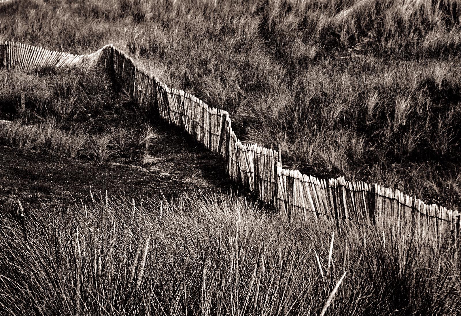 Dune - Stampa d'arte firmata in edizione limitata, bianco nero seppia, paesaggio marrone - Photograph Contemporaneo di Ian Sanderson