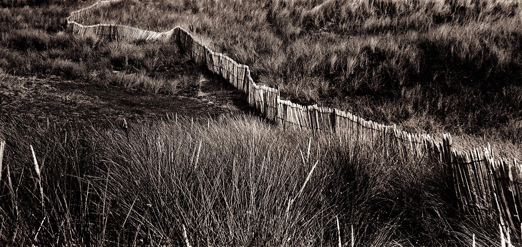 Dune - Signierter Kunstdruck in limitierter Auflage, schwarz weiß sepia, Landschaft braun (Schwarz), Landscape Photograph, von Ian Sanderson