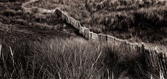 Vintage Dune - Signed limited edition fine art print, black white sepia brown, Oversize