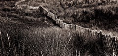 Dune - Impresión artística firmada en edición limitada, negro blanco sepia marrón, Oversize