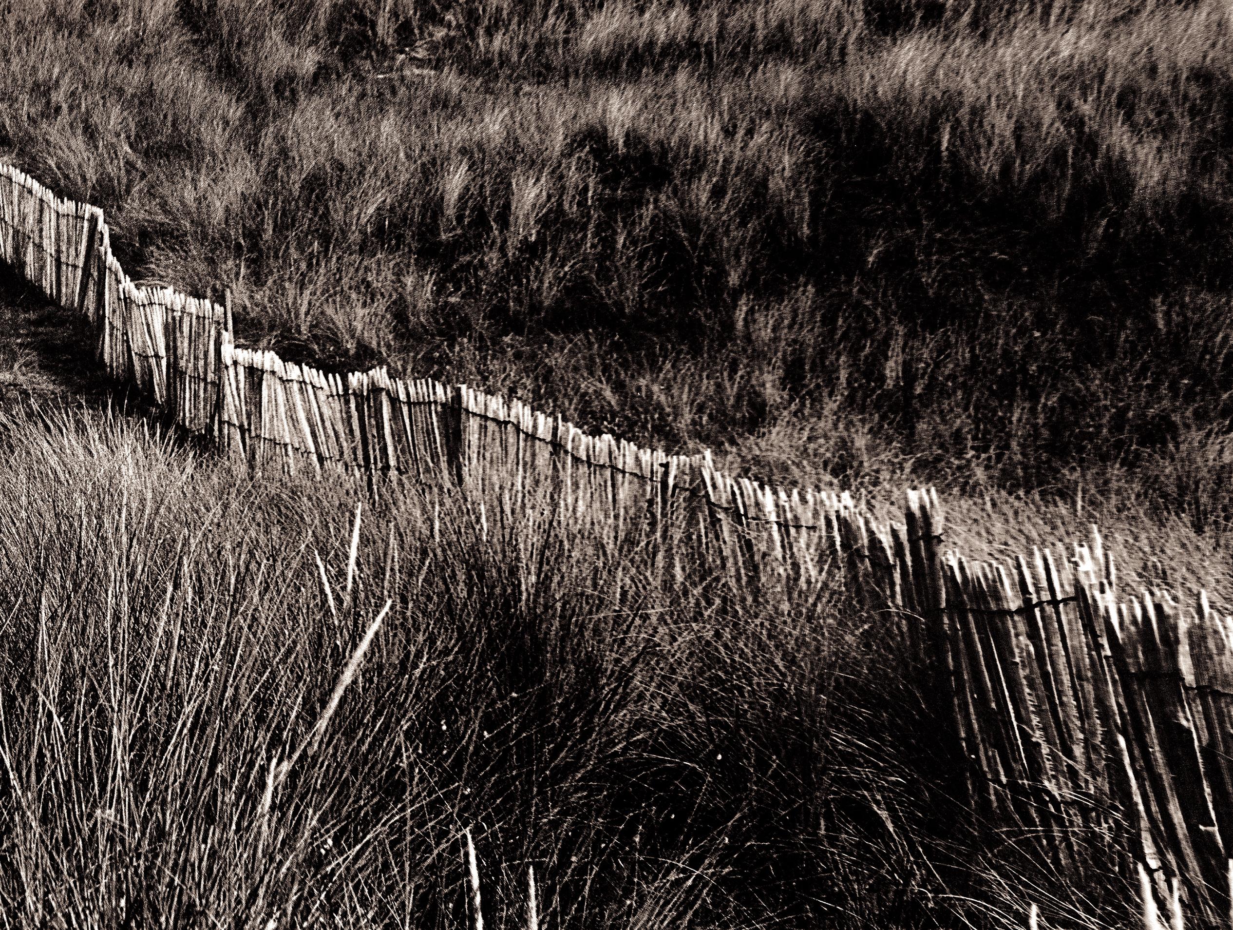 Dune - Impression d'art en édition limitée signée, marron noir et blanc sépia, surdimensionnée en vente 2
