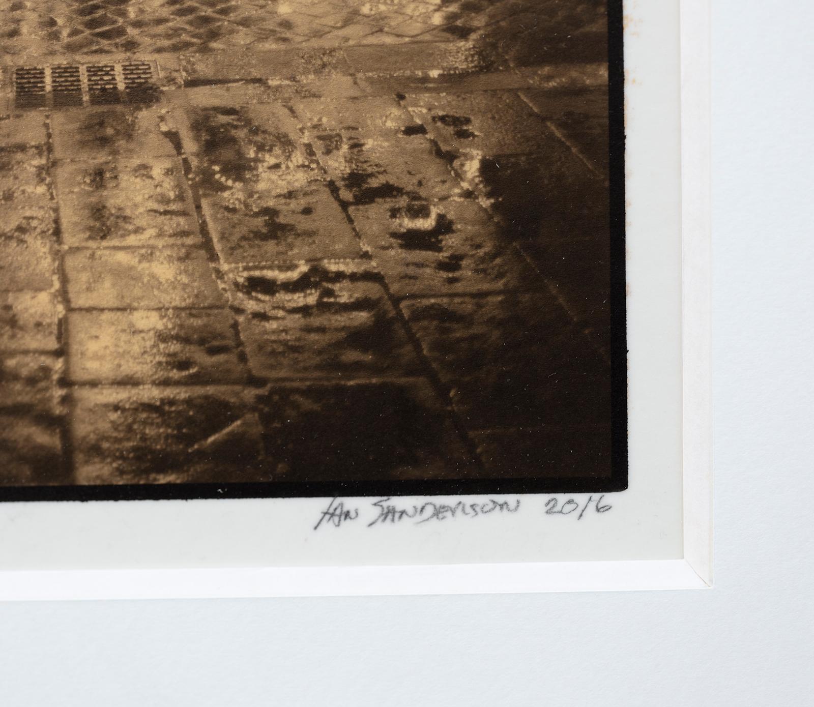 Framed Print-Carrousel-Platinum Palladium print on vellum over 24 carat gold A/P - Contemporary Photograph by Ian Sanderson