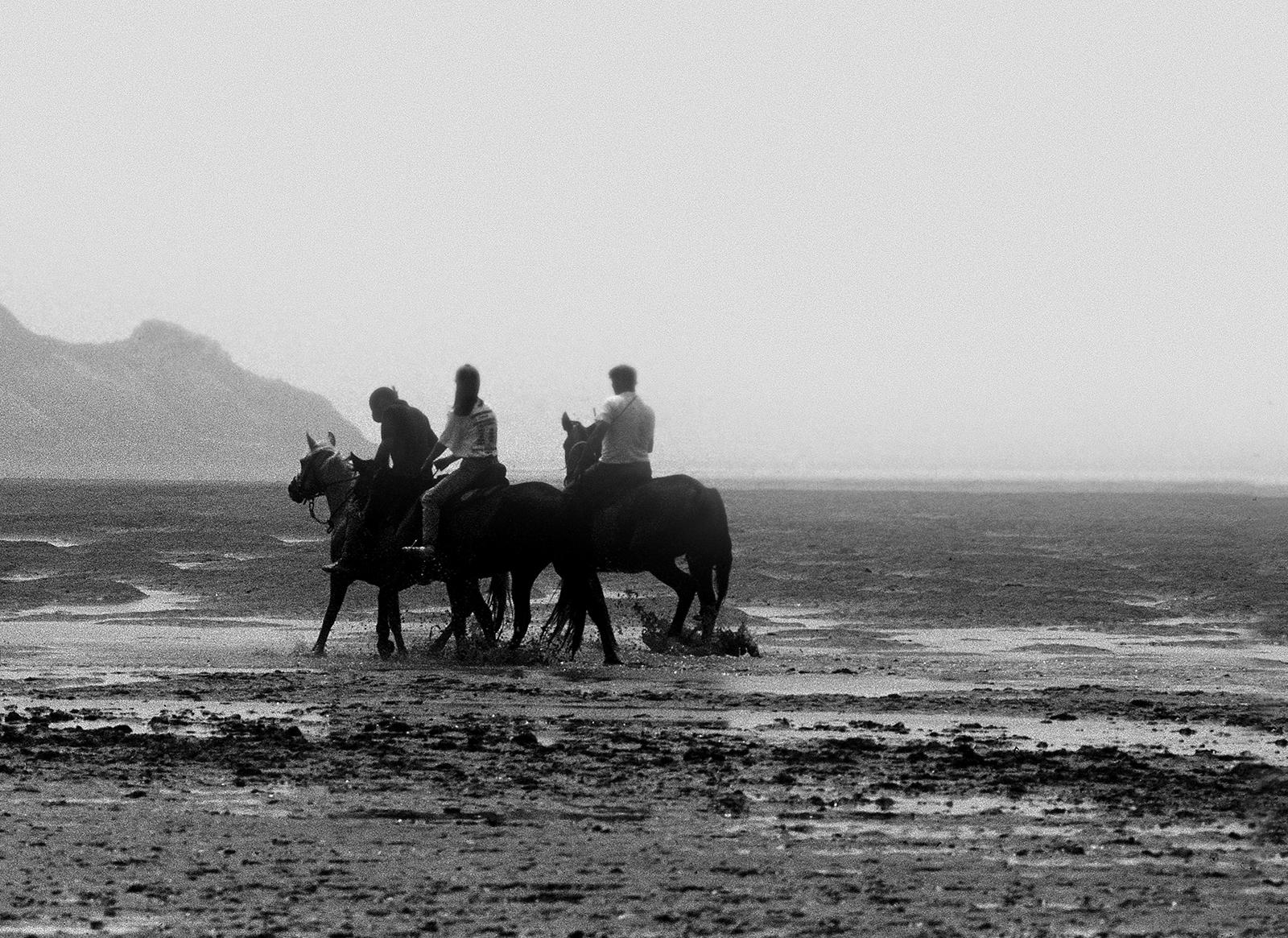 Pferde – signierter Tierdruck in limitierter Auflage, Schwarz-Weiß, Strand, Landschaftspferd – Photograph von Ian Sanderson
