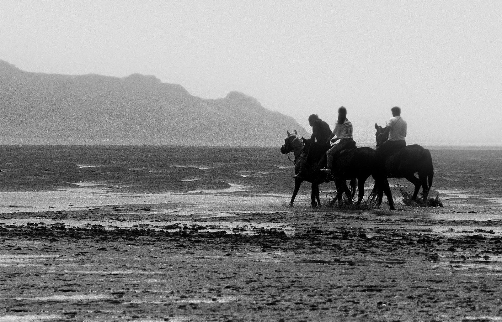 Pferde – signierter Tierdruck in limitierter Auflage, Schwarz-Weiß, Strand, Landschaftspferd (Moderne), Photograph, von Ian Sanderson