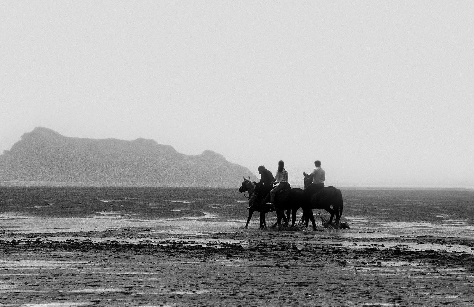 Ian Sanderson Landscape Photograph – Pferde – signierter Tierdruck in limitierter Auflage, Schwarz-Weiß, Strand, Landschaftspferd