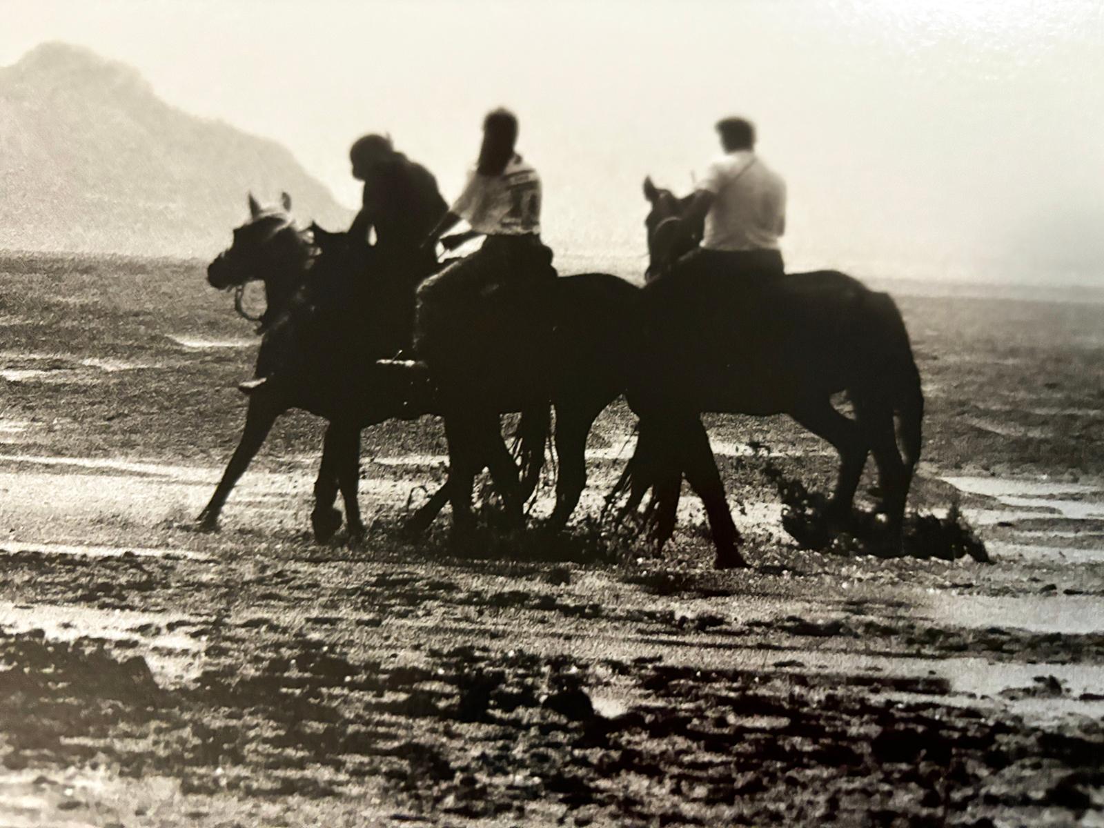 Horses - Signed limited edition nature print, Black and white photo, Landscape For Sale 2