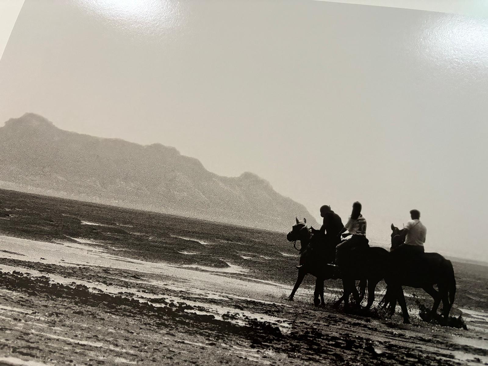 Horses - Signed limited edition nature print, Black and white photo, Landscape For Sale 3