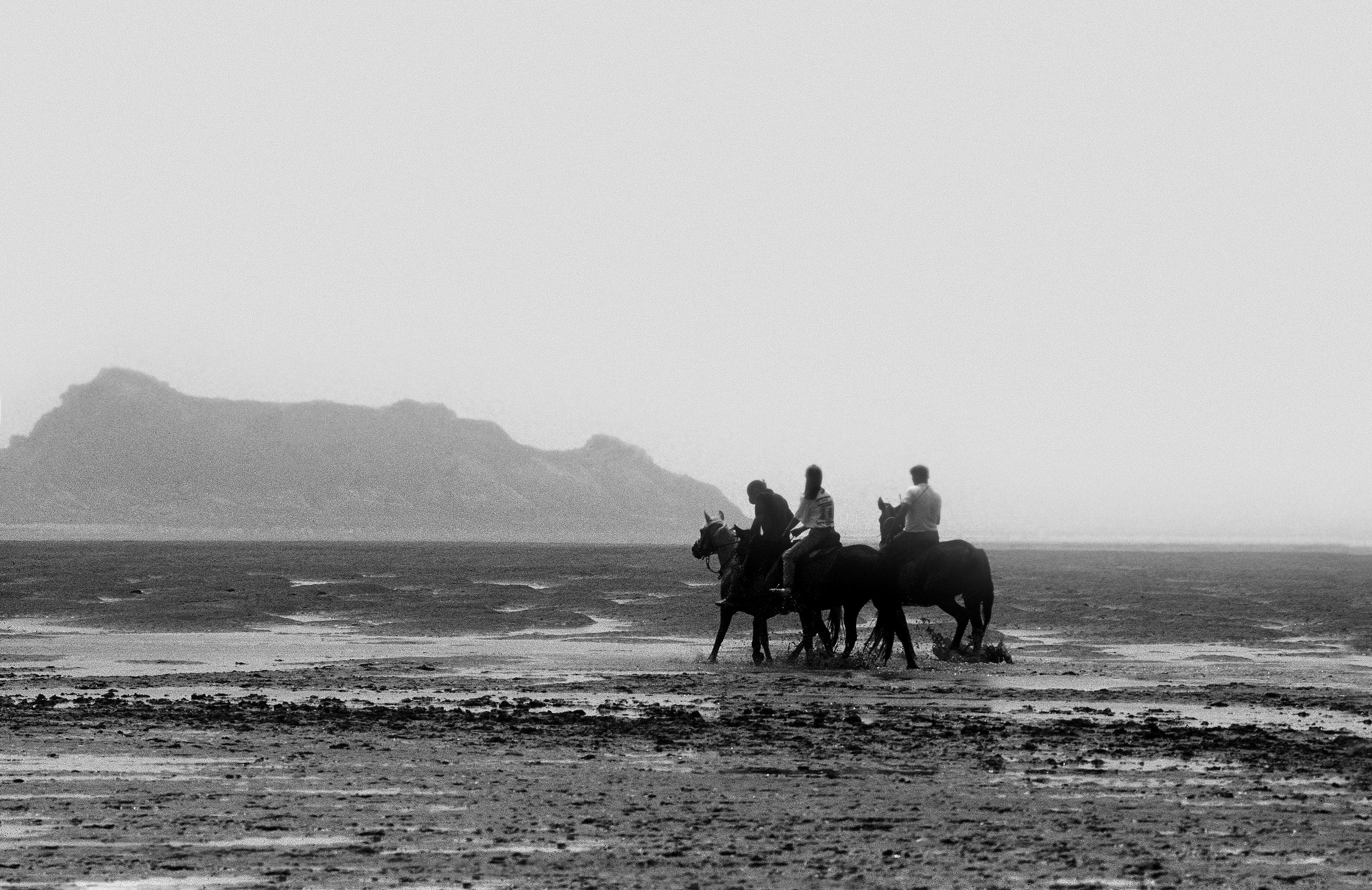Black and White Photograph Ian Sanderson - Whiting - Tirage nature signé en édition limitée, Photo noir et blanc, Paysage