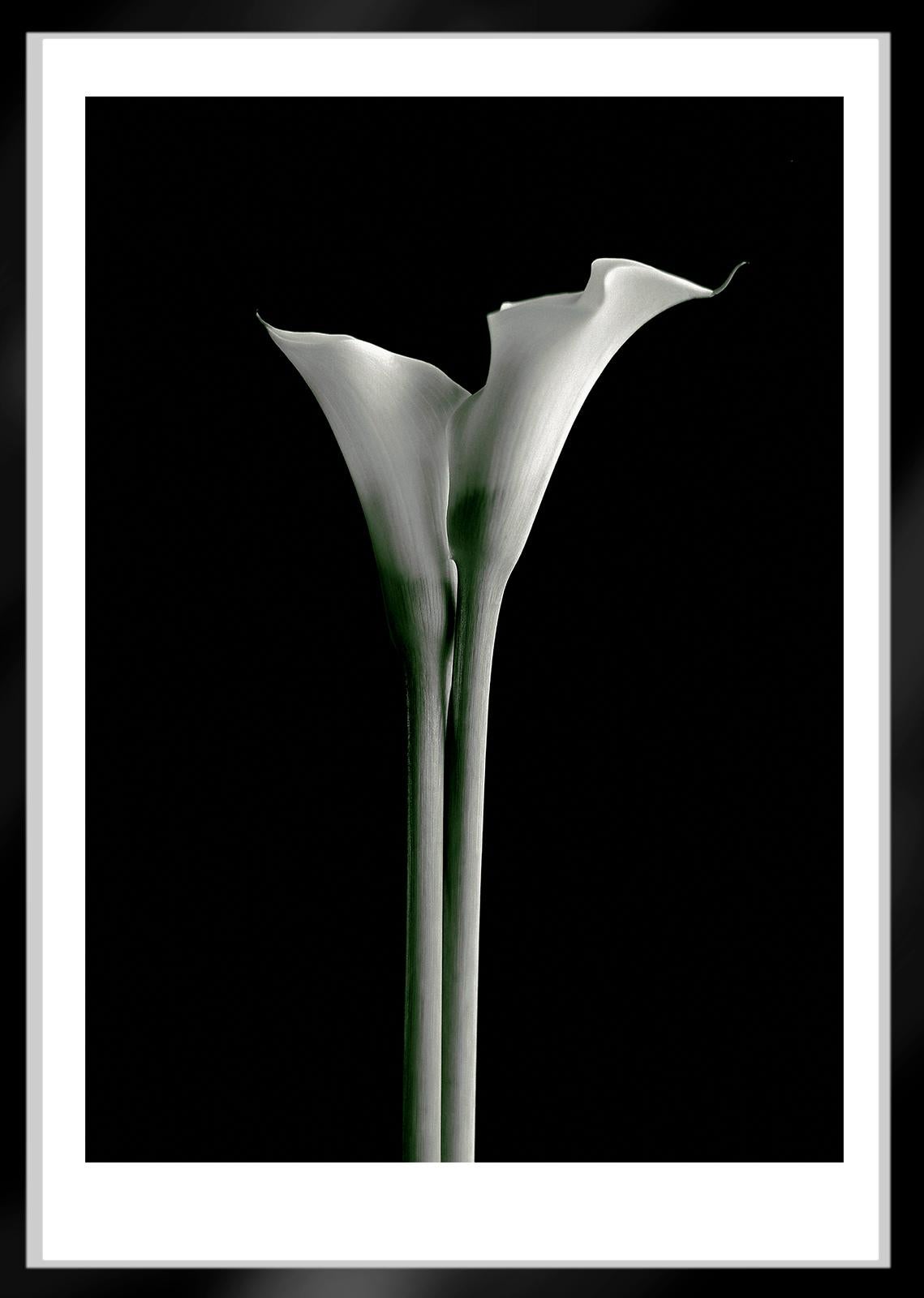 Lovers - Signierter Kunstdruck in limitierter Auflage, Farbe, Pflanze, Analog, Natur (Zeitgenössisch), Photograph, von Ian Sanderson
