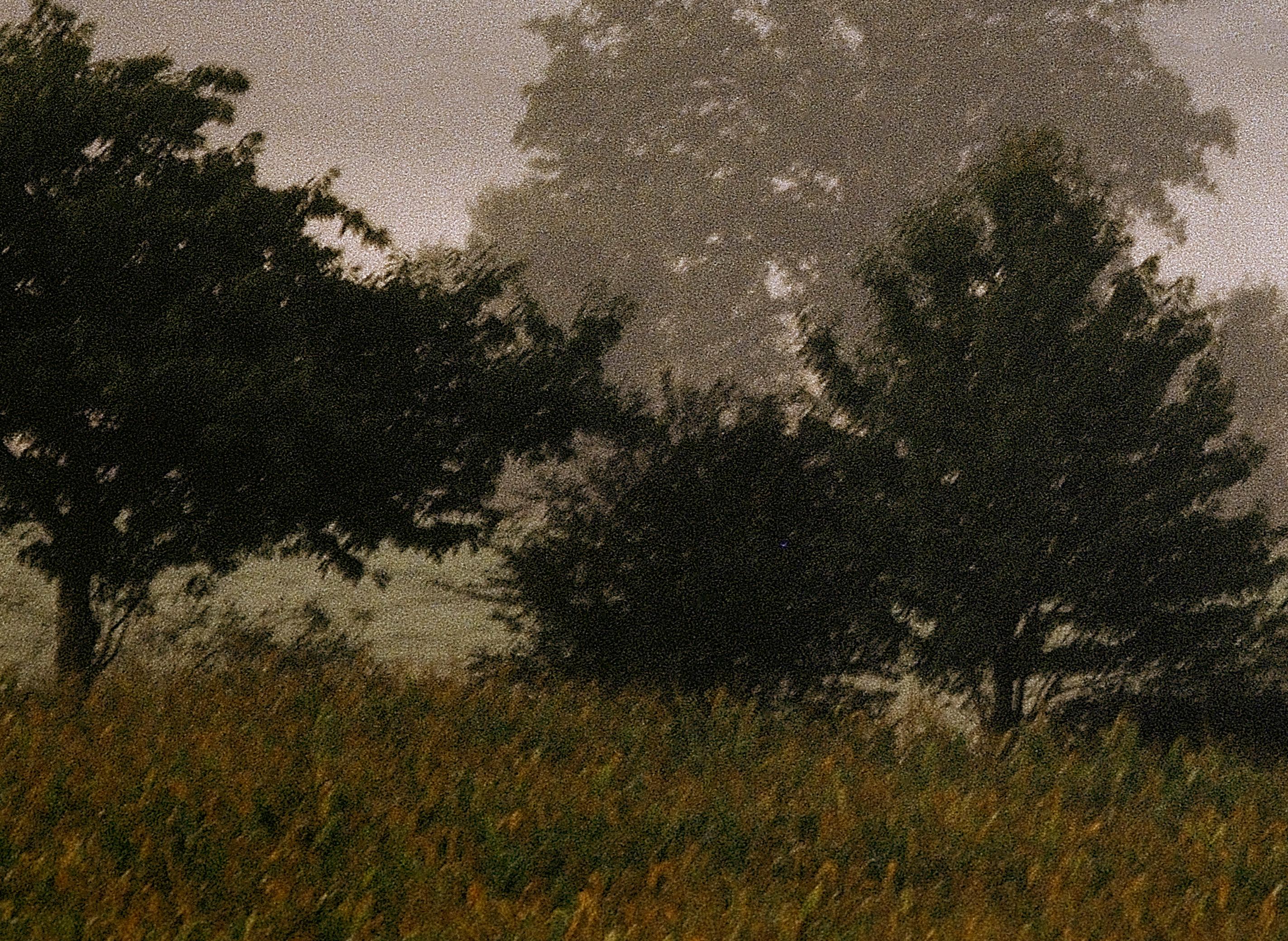 Mayenne – signierter Landschaftsdruck in limitierter Auflage, Farbfoto, zeitgenössisch (Zeitgenössisch), Photograph, von Ian Sanderson