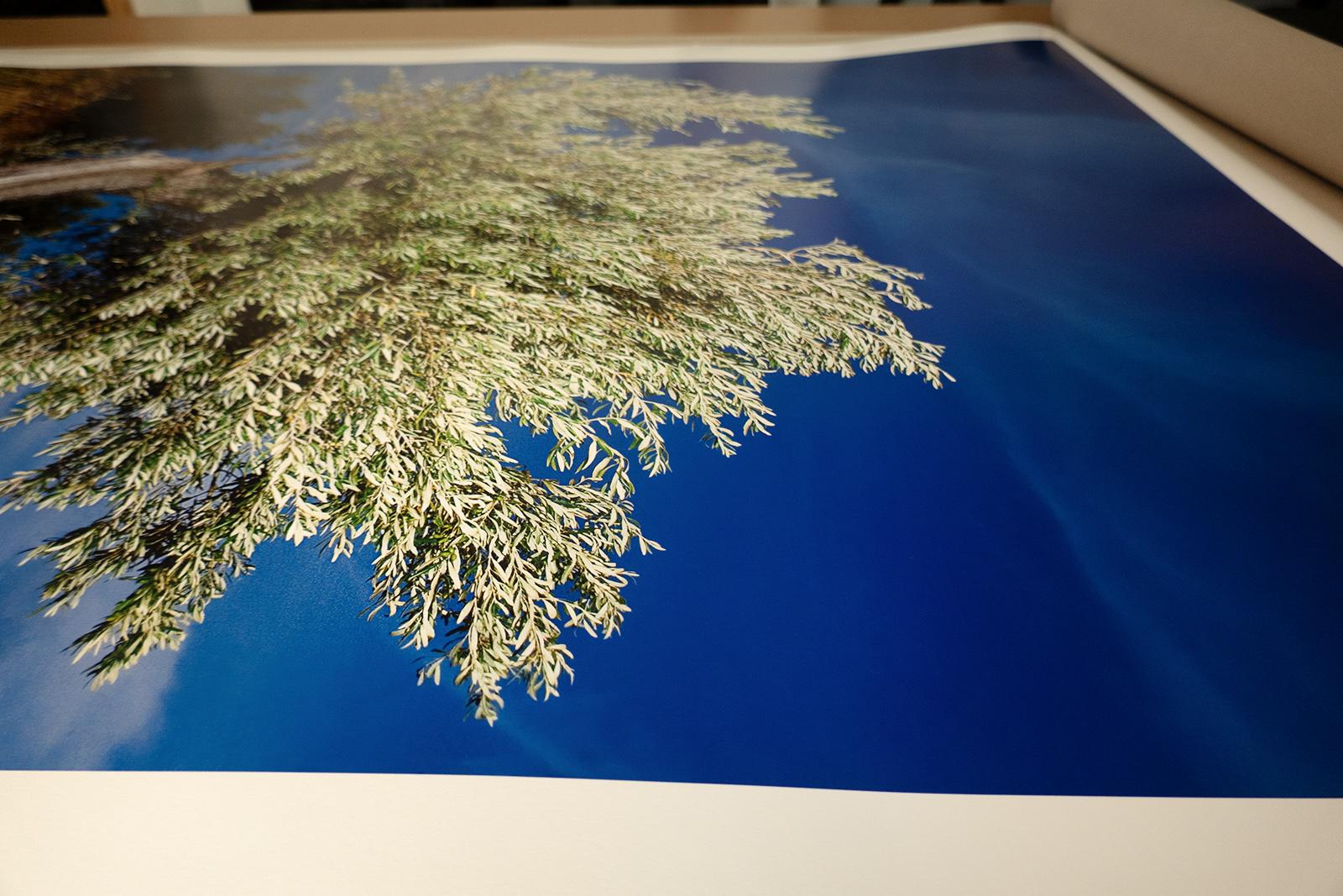 Signierter Farbdruck in limitierter Auflage, Landschaftsfoto, Übergröße Nature - Olivier (Schwarz), Landscape Photograph, von Ian Sanderson