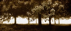 Huerto - Impresión artística firmada en edición limitada, Sepia, Naturaleza, Campo