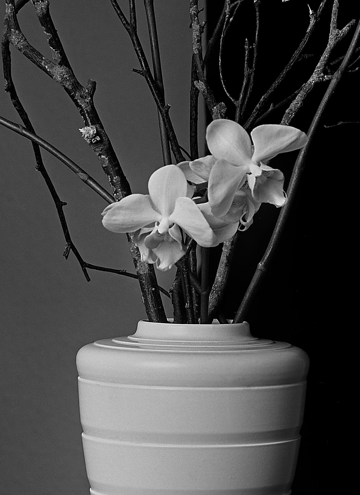 Orchids-Signed limited edition stilllife print, Black white nature photo, Romantic - Photograph by Ian Sanderson