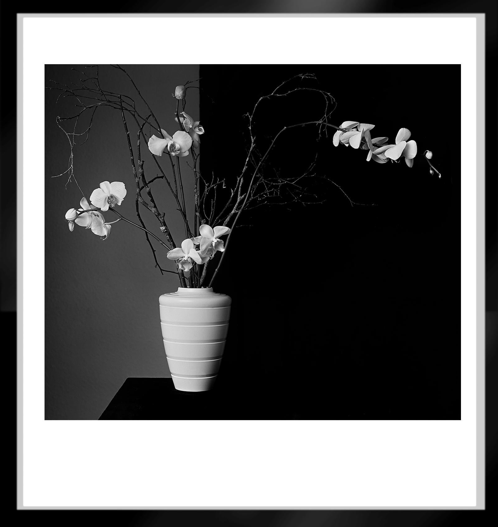 Orchideen – signierter Kunstdruck in limitierter Auflage, Naturfoto in Übergröße (Schwarz), Still-Life Photograph, von Ian Sanderson