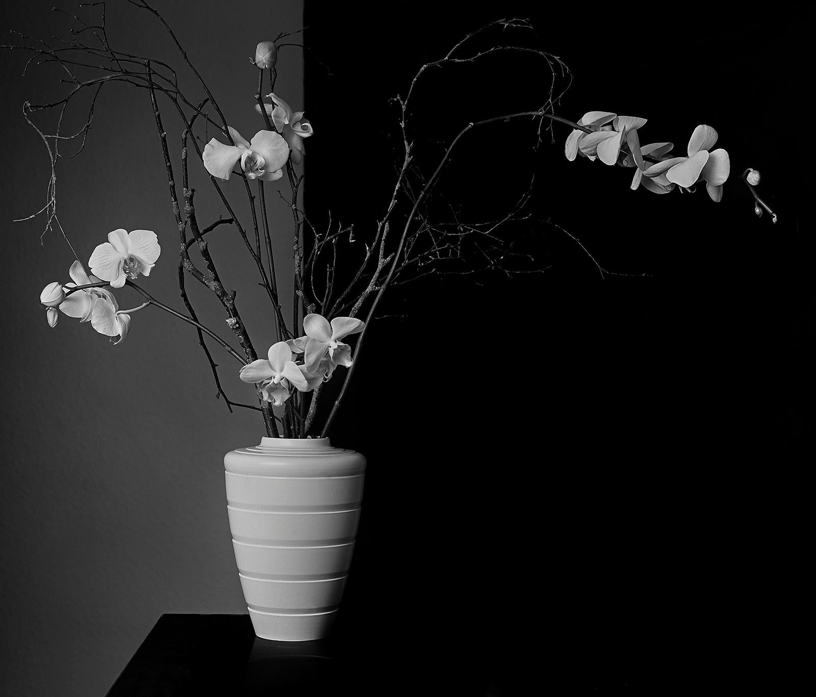 Ian Sanderson Black and White Photograph - Orchids- Signed limited edition still life print, Black white nature, Contemporary