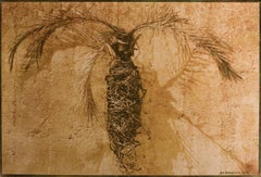 Palma - Stampa d'arte firmata in edizione limitata, foto a colori, Pianta, Nature