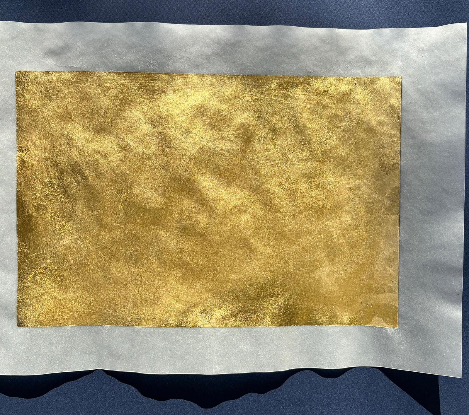 Franci - Sales !! Platinum Palladium print over pure Gold leaf, Limited Edition - Modern Photograph by Ian Sanderson