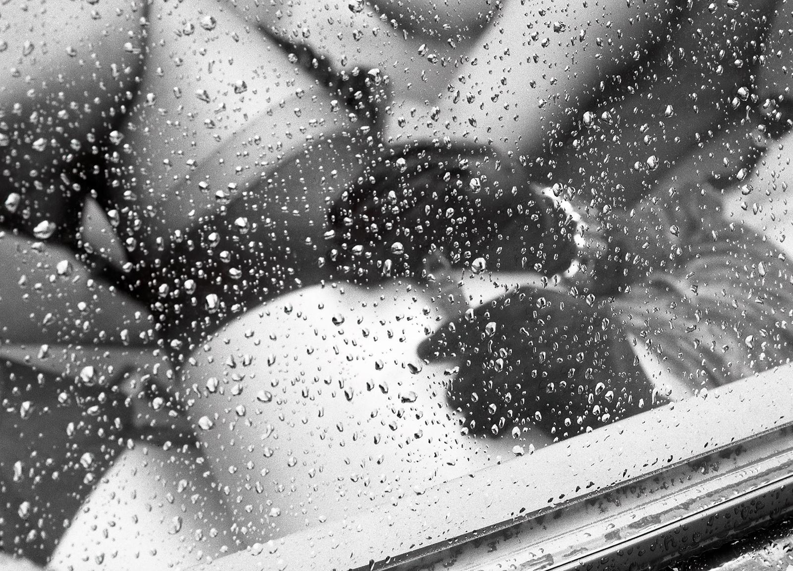 Sacha - Figuratives Foto, Schwarzweiß, Nackte Frauen, Analogue, Sexy Model in Auto, Analogue (Zeitgenössisch), Photograph, von Ian Sanderson