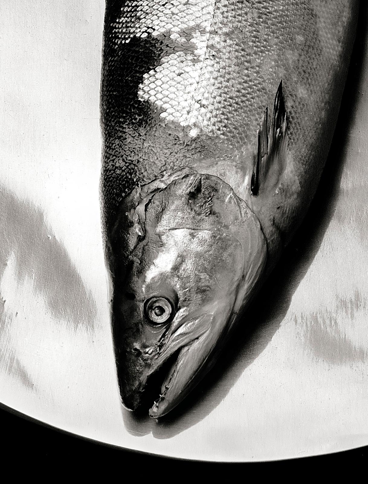 Saumon - Édition limitée signée d'une nature morte en mer, photo en noir et blanc, Nature - Photograph de Ian Sanderson
