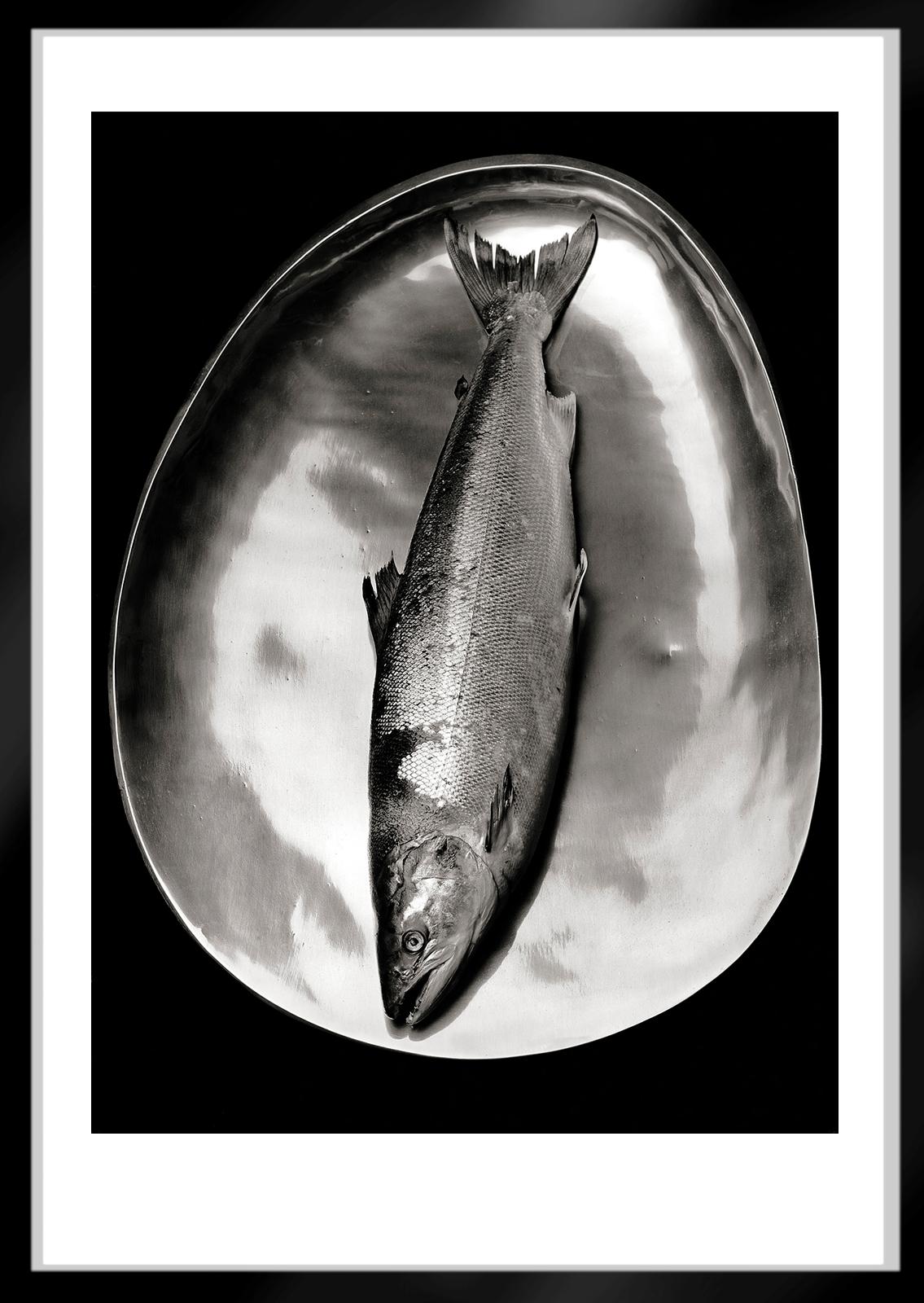 Saumon - Édition limitée signée d'une nature morte en mer, photo en noir et blanc, Nature - Noir Black and White Photograph par Ian Sanderson
