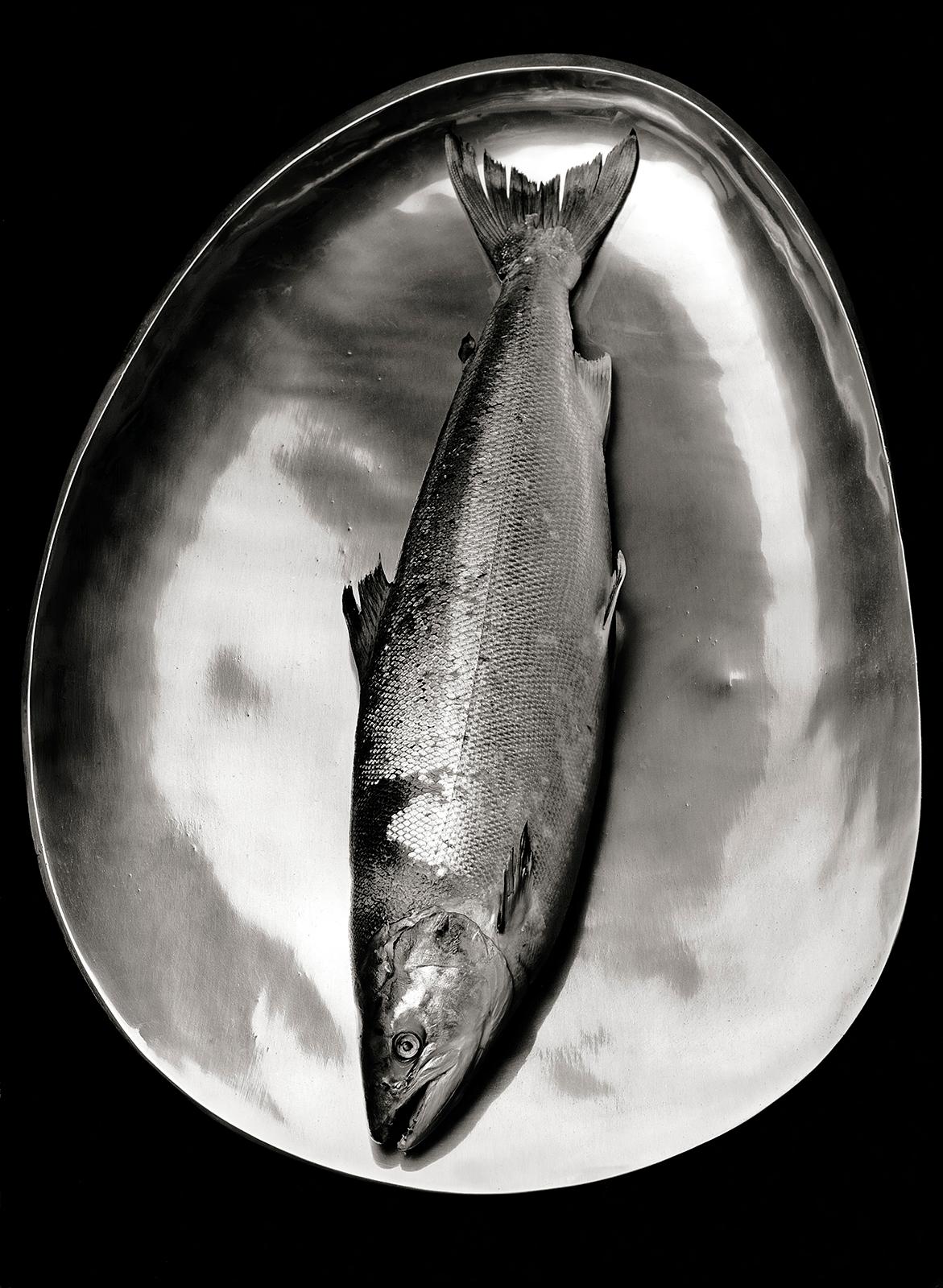 Black and White Photograph Ian Sanderson - Saumon - Édition limitée signée d'une nature morte en mer, photo en noir et blanc, Nature