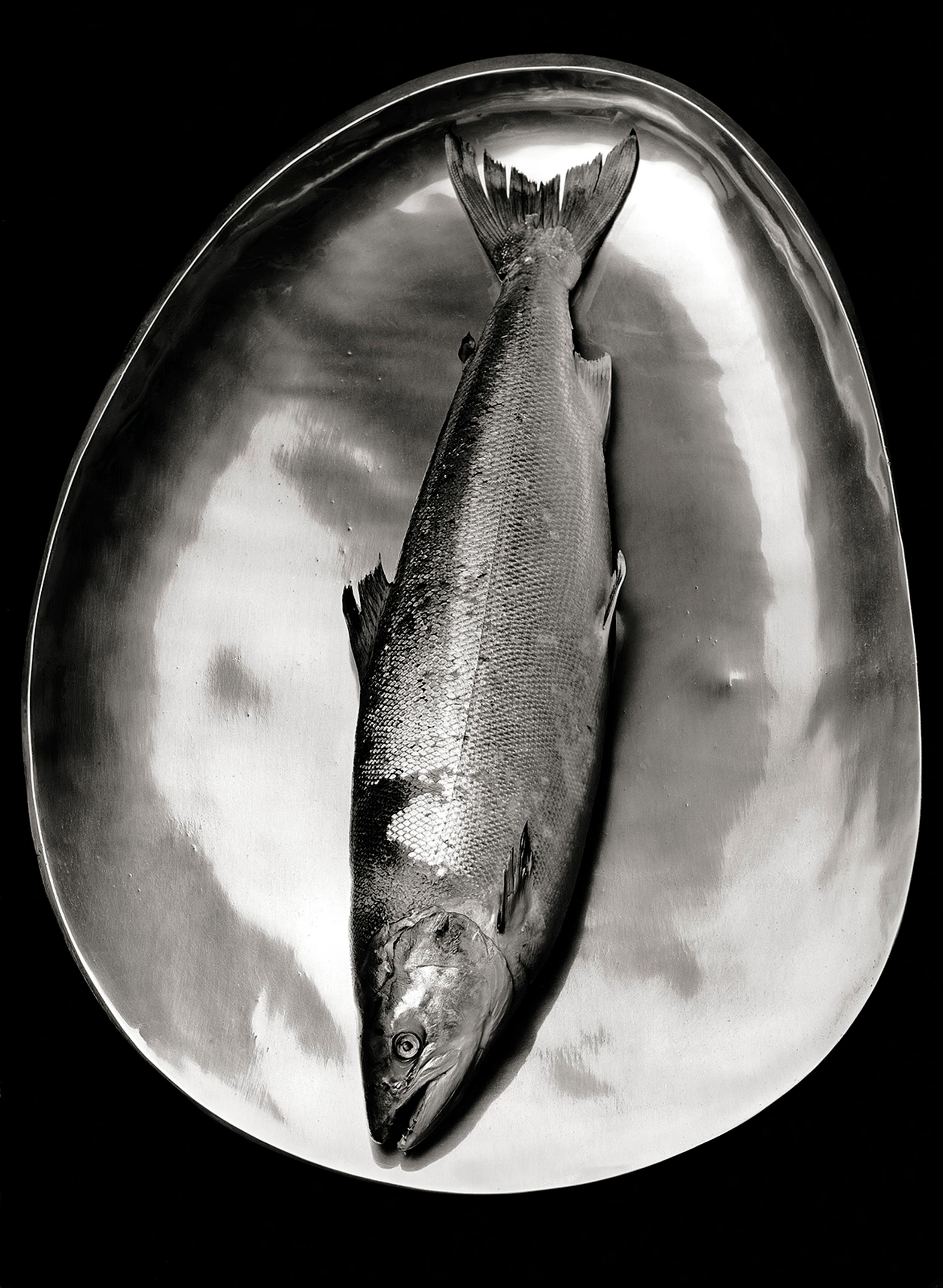 Saumon - Édition limitée signée d'une nature morte en mer, photo en noir et blanc, Nature
