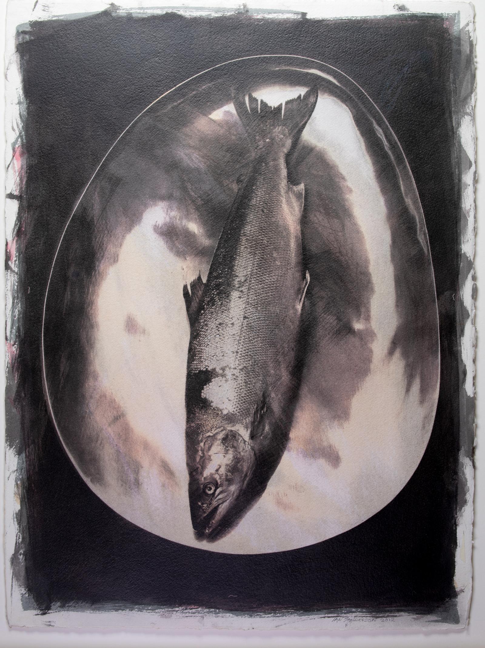 Salmon- Unique Gum Bichromate print (sensitised watercolour), Photographic print 1