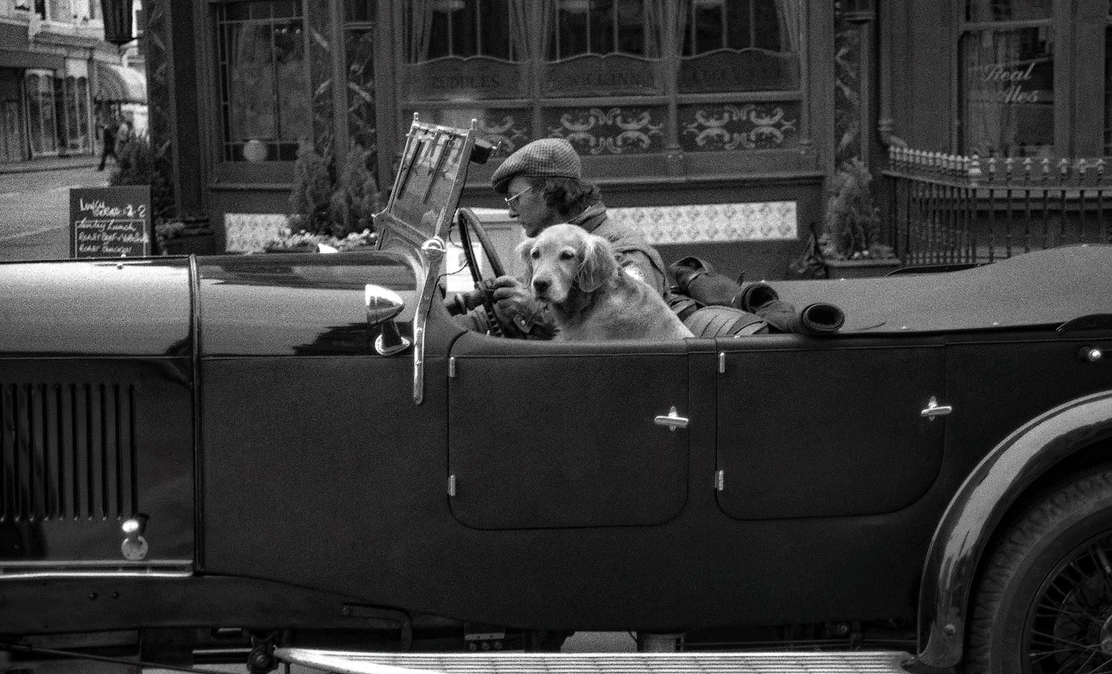 Ian Sanderson Black and White Photograph - Sammy - Signed limited edition fine art print, Black white, Dog, Contemporary