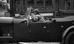Sammy - Signed limited edition fine art print, Black white, Dog, Contemporary