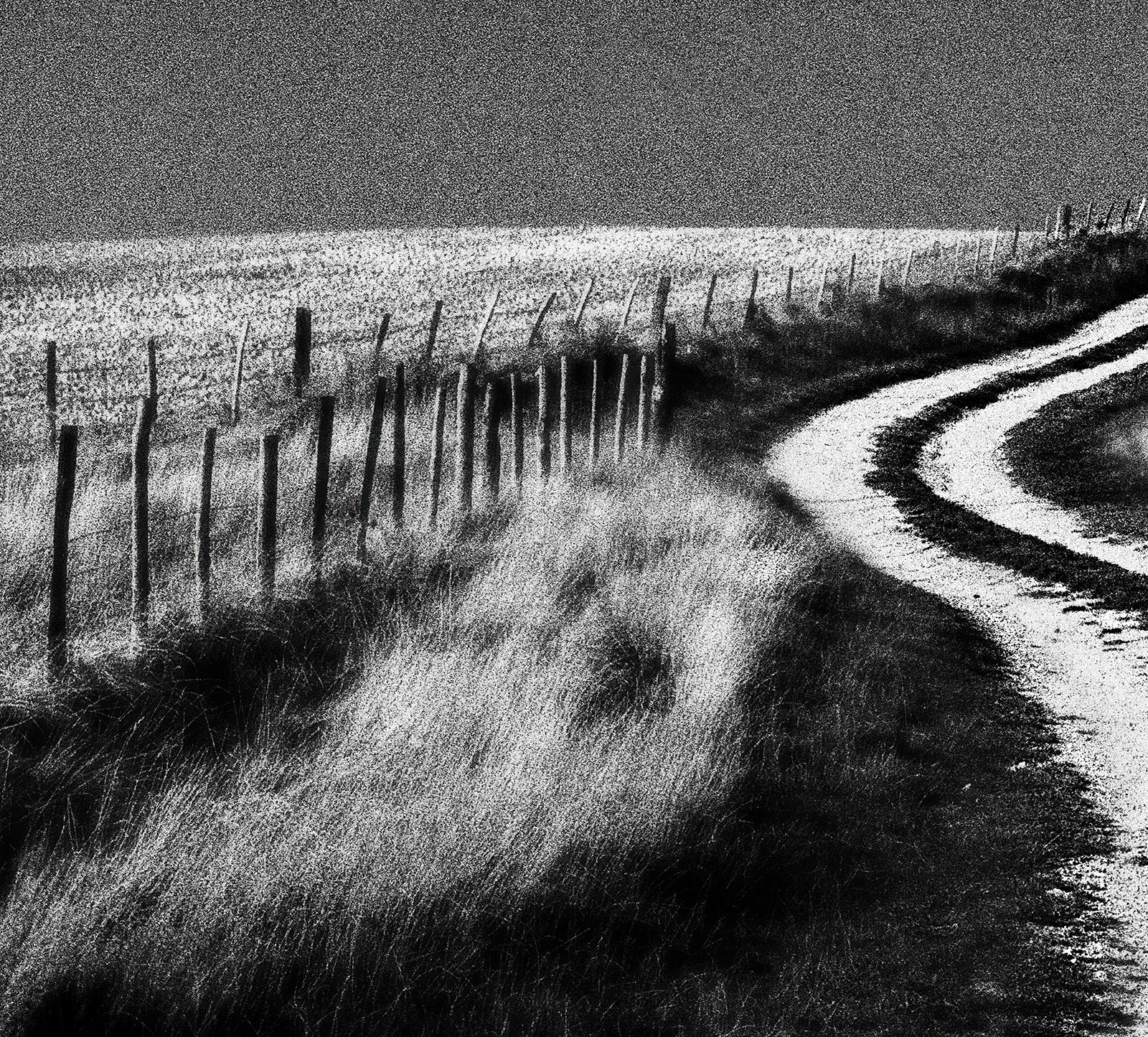 Signiertes Landschaftsfoto in limitierter Auflage, Contemporary, Landschaft - Woodingdean – Photograph von Ian Sanderson