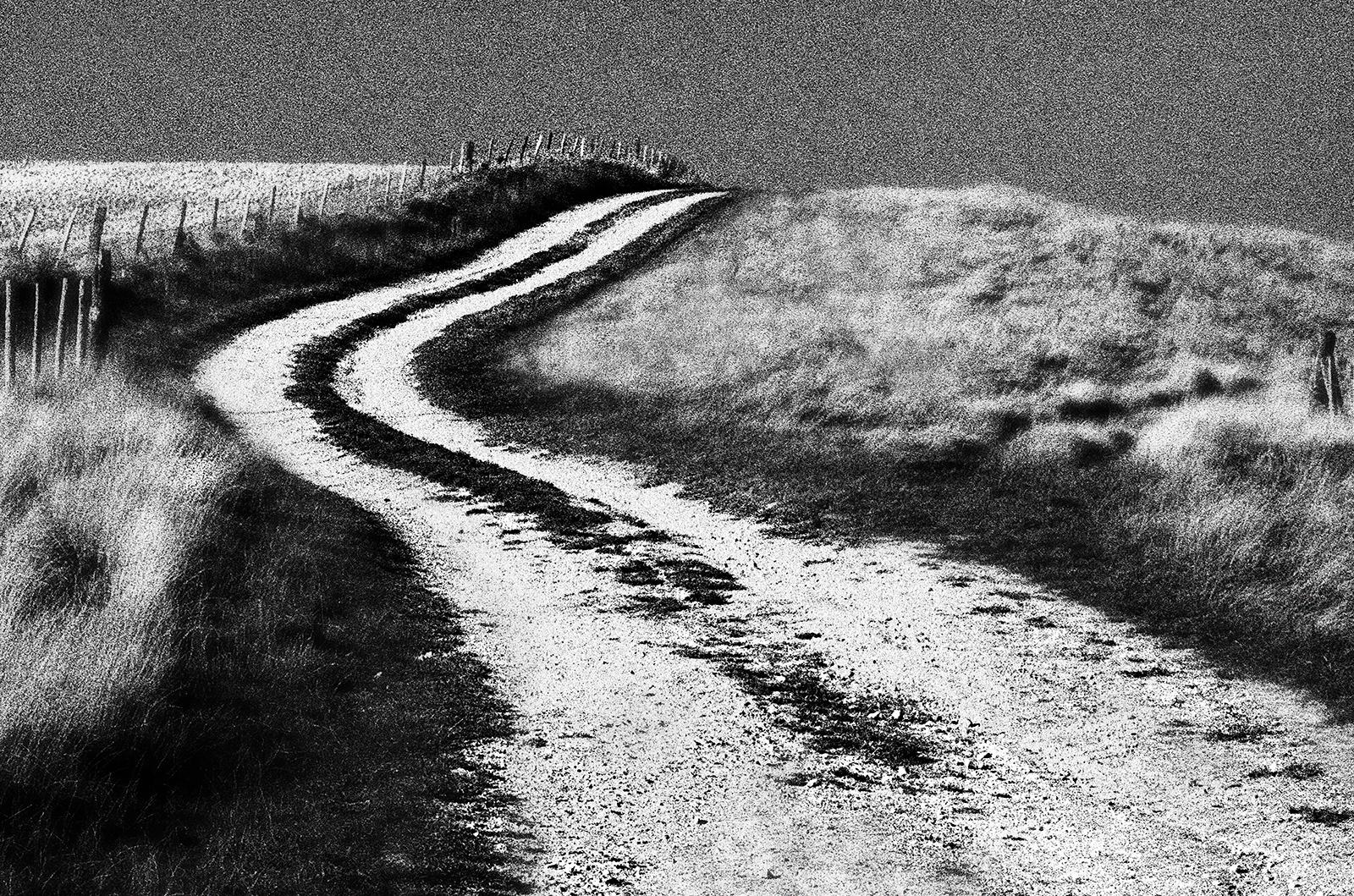 Signiertes Landschaftsfoto in limitierter Auflage, Contemporary, Landschaft - Woodingdean (Zeitgenössisch), Photograph, von Ian Sanderson