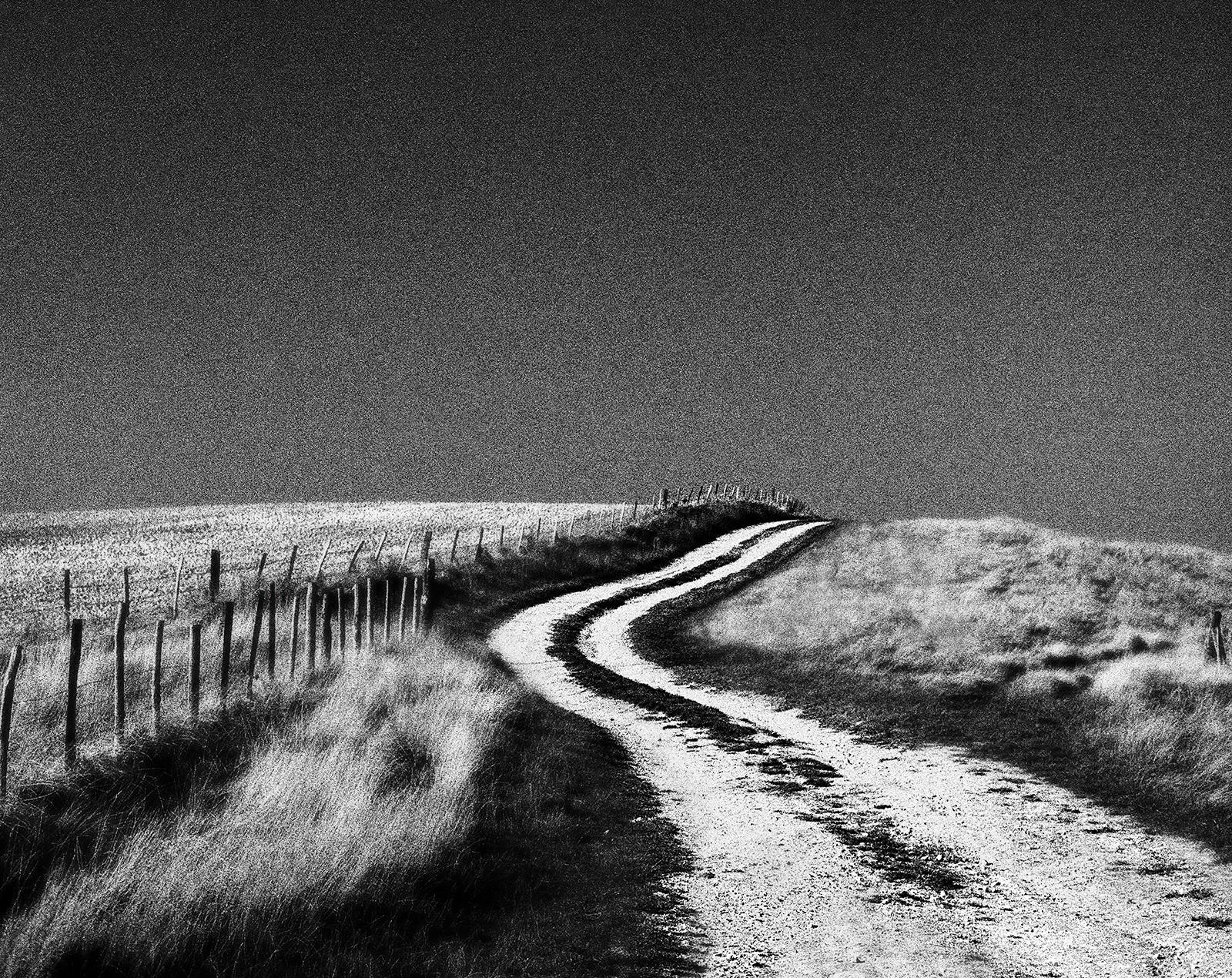 Signiertes Landschaftsfoto in limitierter Auflage, Contemporary, Landschaft - Woodingdean (Schwarz), Landscape Photograph, von Ian Sanderson