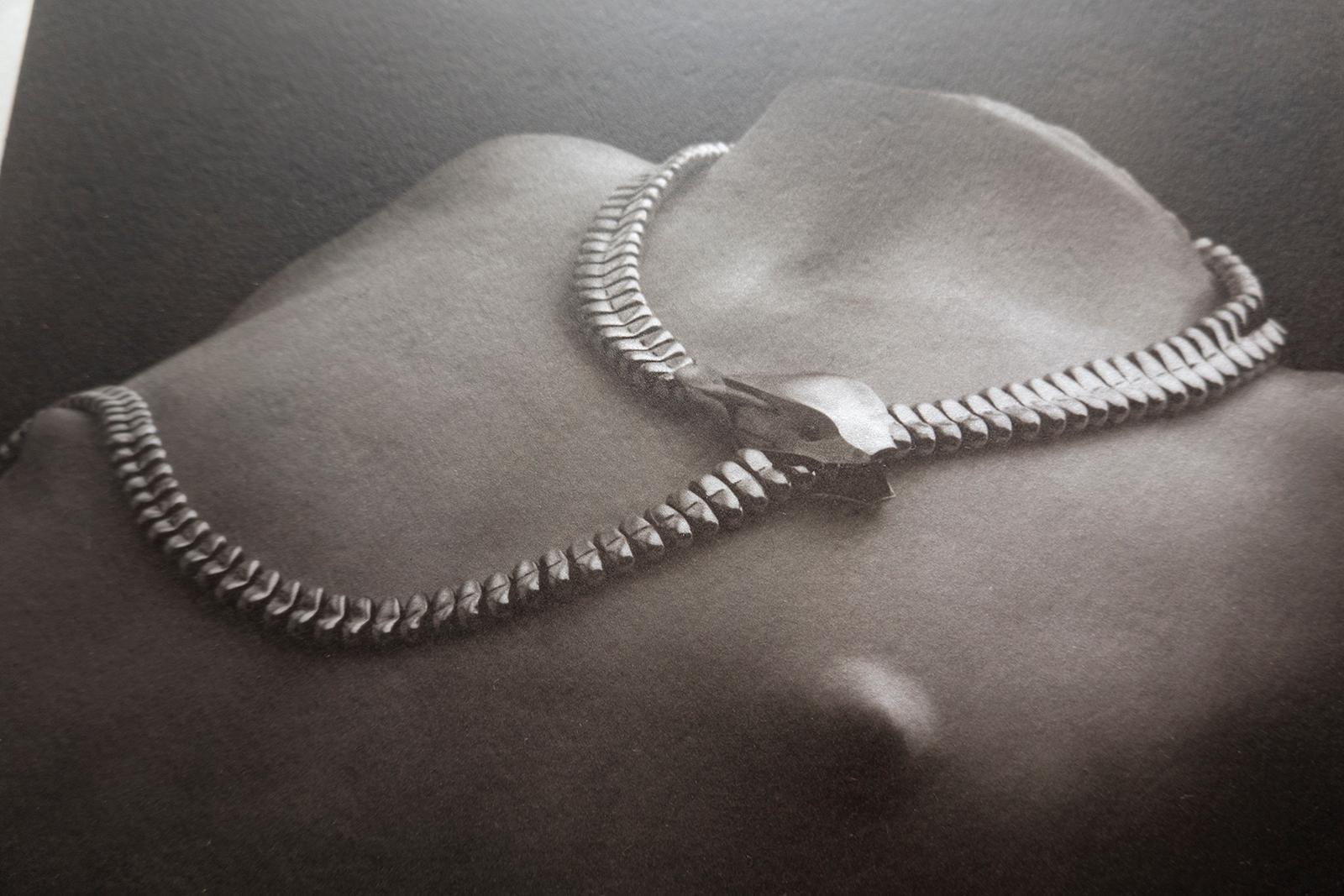 Serpente - Stampa al platino-palladio su pergamena e argento, Edizione limitata, Gioielli - Photograph di Ian Sanderson