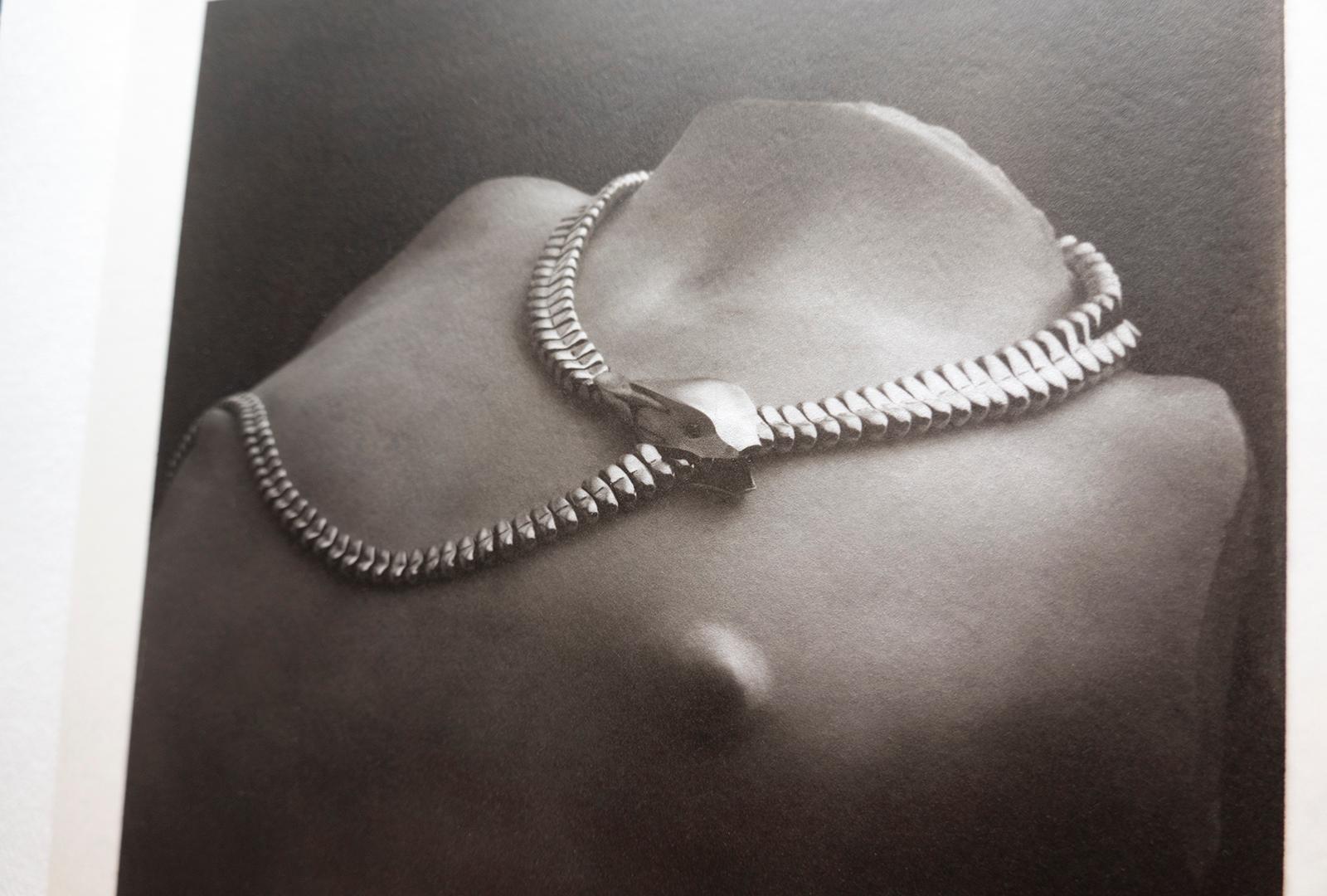 Serpente - Stampa al platino-palladio su pergamena e argento, Edizione limitata, Gioielli - Photograph Contemporaneo di Ian Sanderson