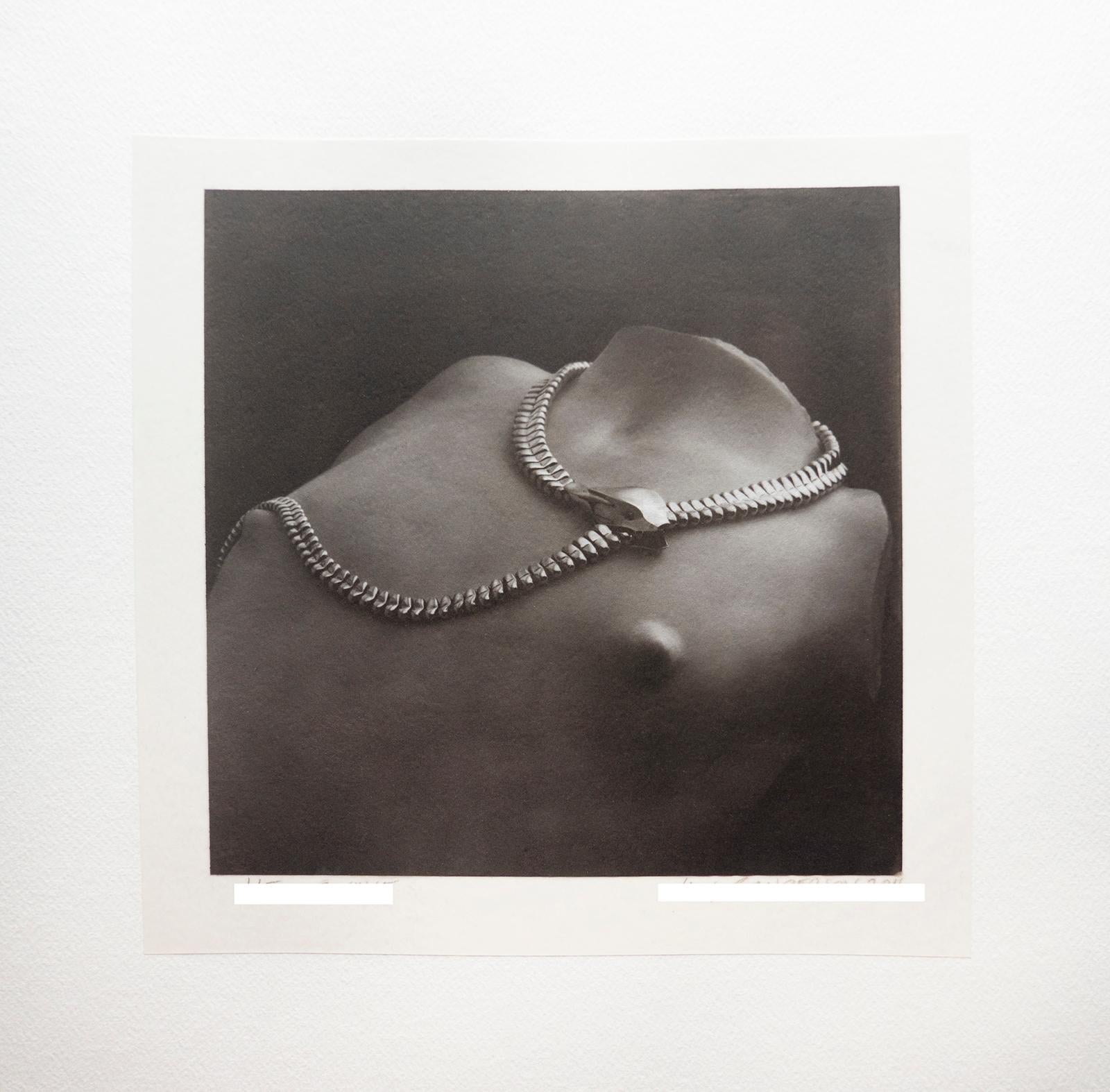 Snake - Platinum Palladium print on vellum over silver, Limited edition, Jewelry