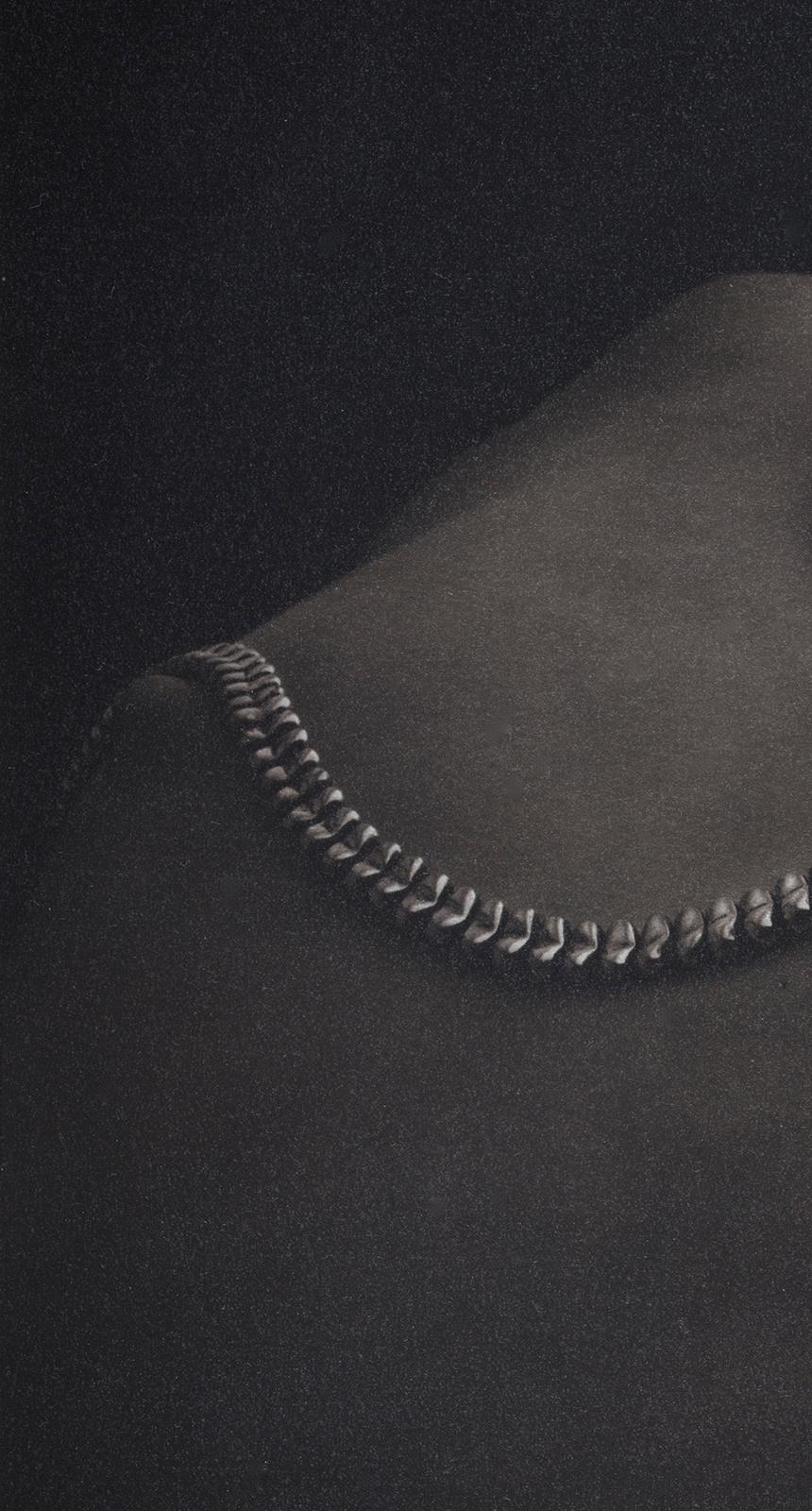 Snake-Platinum Palladium print on vellum over silver, A/P, Limited edition, Jewelry - Black Black and White Photograph by Ian Sanderson
