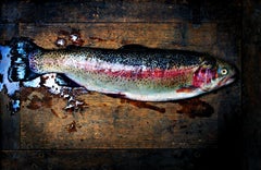 Trout - Signed limited edition fine art print, Color photography, Fish