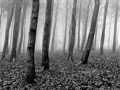Wood - Edition limitée signée Nature morte, Noir blanc, Paysage, Contemporain