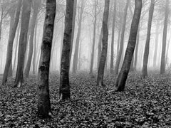 Holz signierter Stilllebendruck in limitierter Auflage, Schwarz-Weiß, Landschaft, Zeitgenössisch