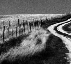 Foto di paesaggio in edizione limitata firmata , Contemporanea, Campagna - Woodingdean