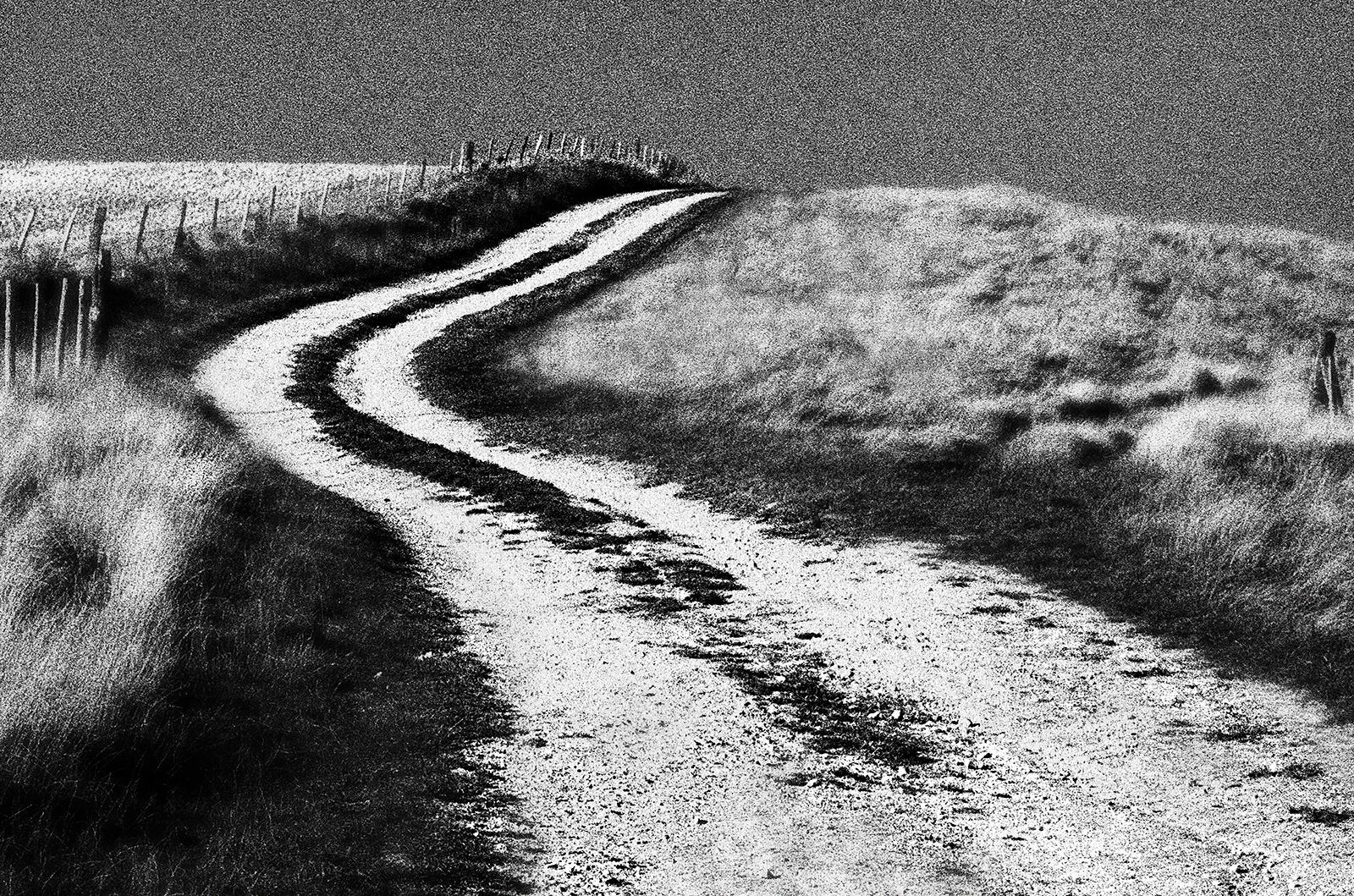 Photo de paysage signée en édition limitée, Contemporary, Countryside - Woodingdean - Contemporain Photograph par Ian Sanderson