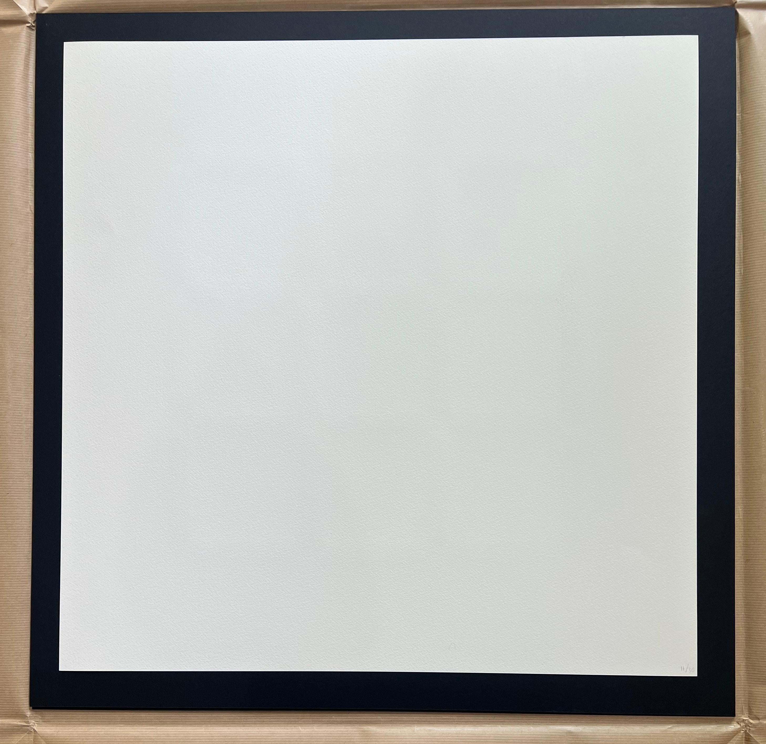 Ian Tyson - Schema - 4 x prints (Light Blue, Dark Blue, Orange and Dark Red) For Sale 7