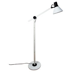 Floor Lamps